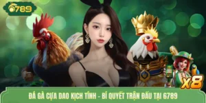 Đá gà cựa dao