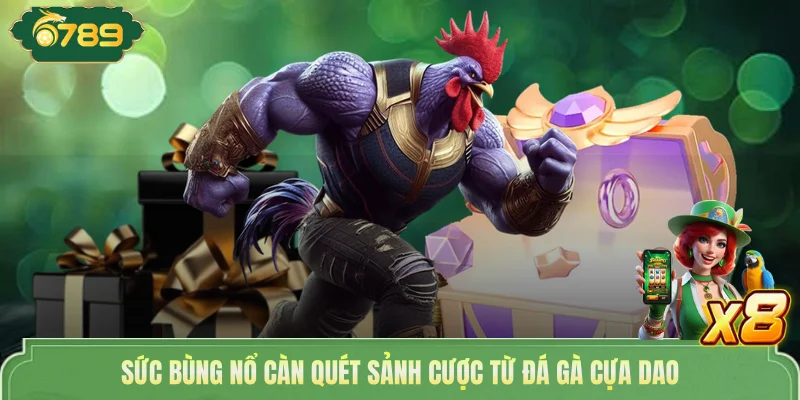 Sức bùng nổ càn quét sảnh cược từ đá gà cựa dao 